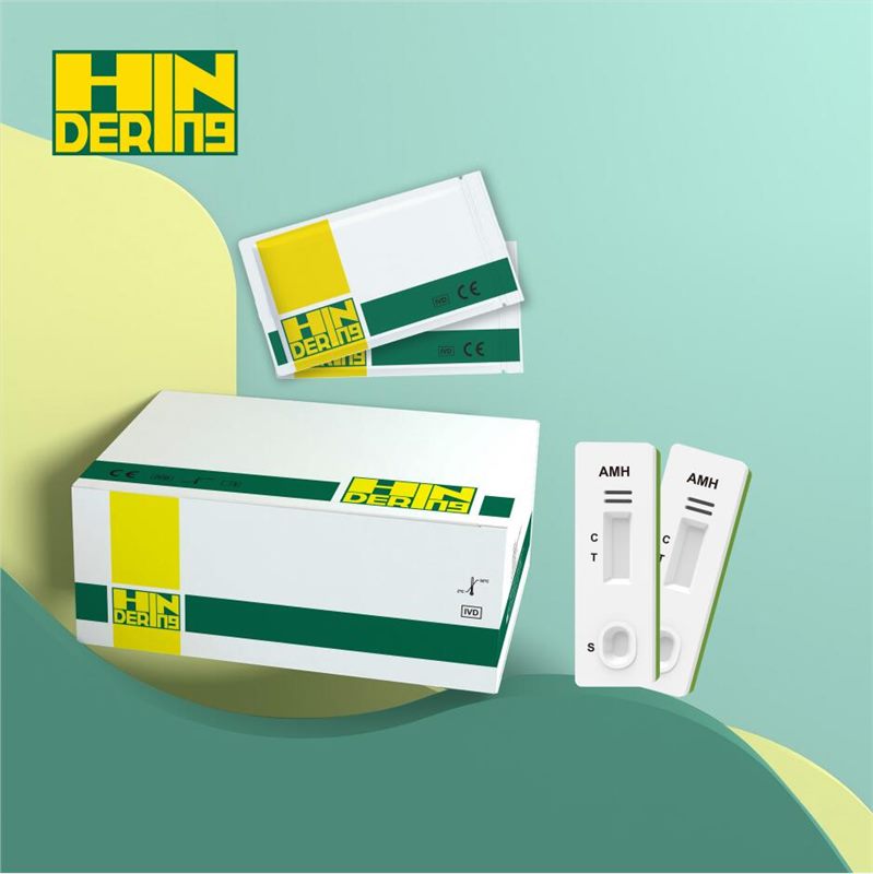 AMH Hızlı Testi